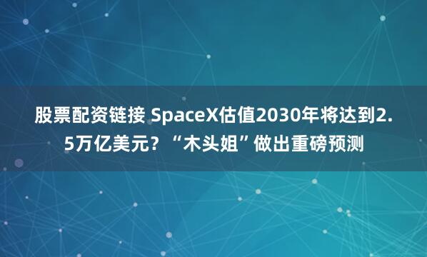 股票配资链接 SpaceX估值2030年将达到2.5万亿美元？“木头姐”做出重磅预测